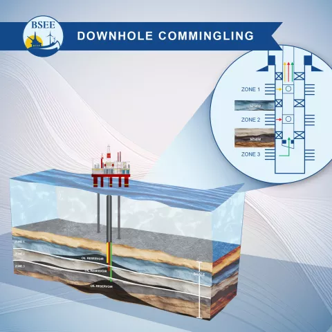 Downhole Commingling illustration Downhole Commingling illustration