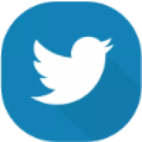 Twitter icon