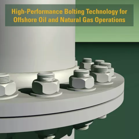 BSEE-Sponsored Study Identifies Strategies for Improving Safety and Mitigating  Risks in Offshore Oil and Gas Operations
