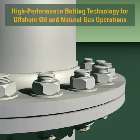 Cover from the National Academy of Engineering study on Subsea Bolting Technology.  